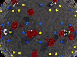 corona virus - concept model Modelo 3D