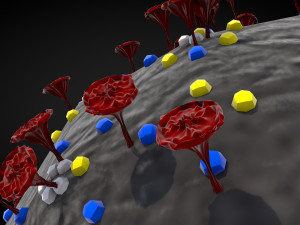 corona virus - concept model Modelo 3D