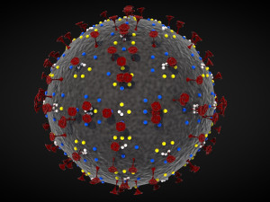 corona virus - concept model Modelo 3D