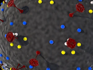 corona virus - concept model 3D Model