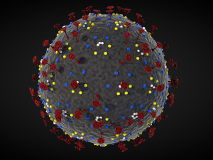 corona virus - concept model Modelo 3D