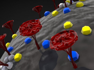 corona virus - concept model Modelo 3D