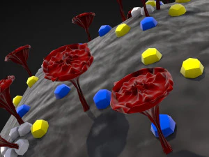 corona virus - concept model 3D Model