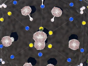 corona virus - concept model 3D Model