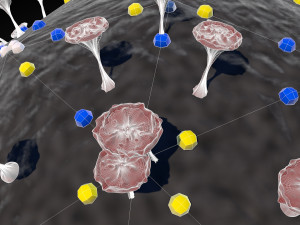corona virus - concept model Modelo 3D