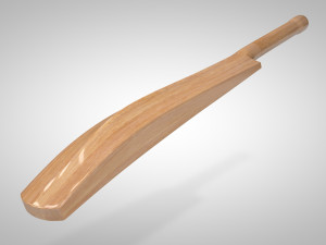 cricket bat 3D Model