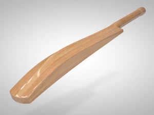batte de cricket Modèle 3D