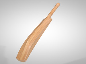 cricket bat 3D Model