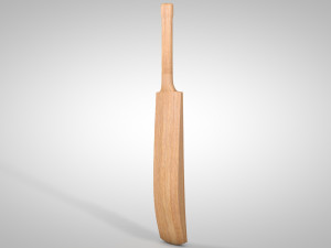 cricket bat 3D Model