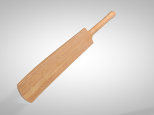 cricket bat 3D Model