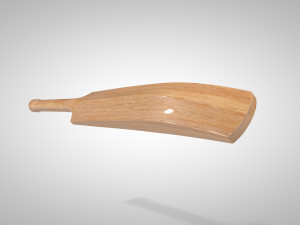 cricket bat 3D Model