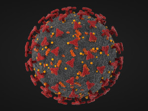 corona virus - covid 19 3D मॉडल