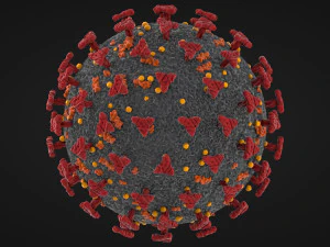 corona virus - covid 19 3D Model