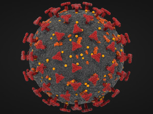 corona virus - covid 19 3D मॉडल