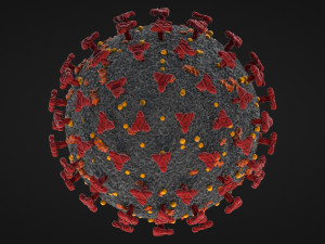 corona virus - covid 19 3D मॉडल