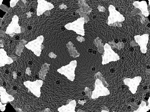 corona virus - covid 19 3D Model
