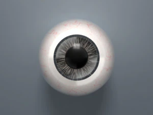 globo ocular - preto Modelo 3D