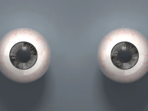 eyeball - black 3D Model