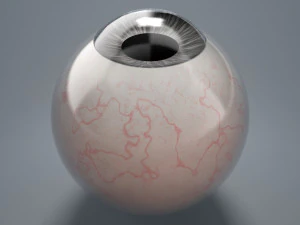 eyeball - black 3D Model