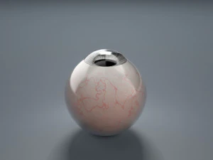 eyeball - black 3D Model