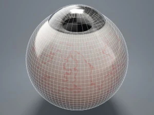 eyeball - black 3D Model