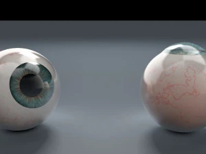 eyeball - blue 3D Model