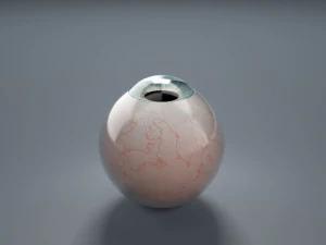 eyeball - blue 3D Model