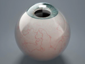 eyeball - blue 3D Model