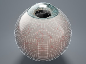eyeball - blue 3D Model