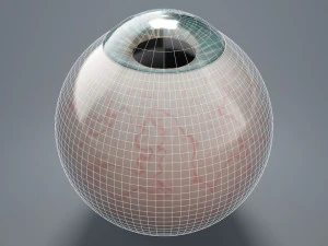 eyeball - blue 3D Model