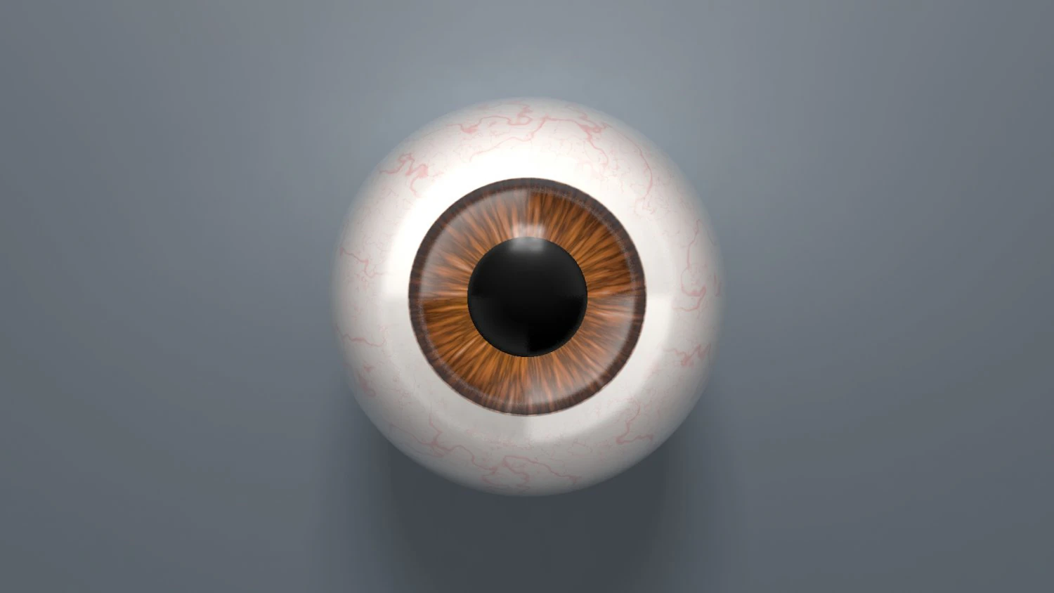 eyeball - brown 3D Model .c4d .max .obj .3ds .fbx .stl .blend 
