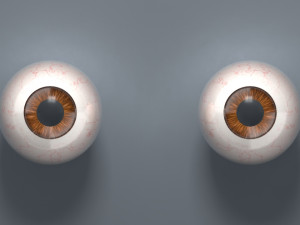 eyeball - brown 3D Модель