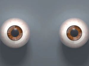 eyeball - brown 3D Model