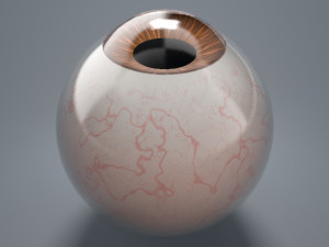 eyeball - brown 3D Модель