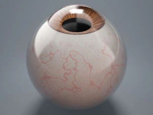 eyeball - brown 3D Model