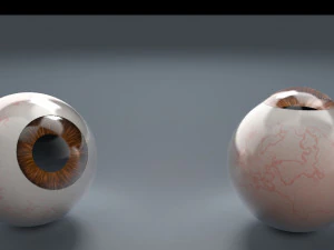 eyeball - brown 3D Model