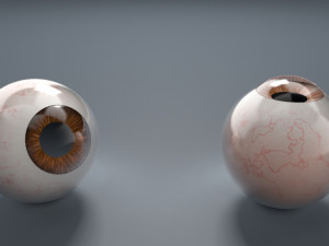 eyeball - brown 3D Модель