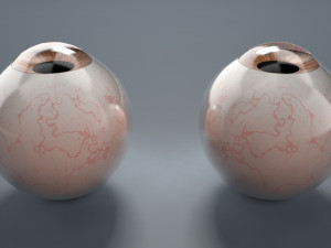eyeball - brown 3D Модель