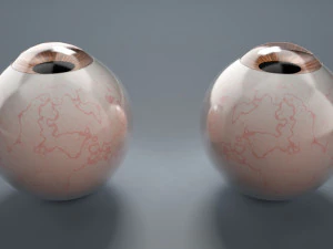 eyeball - brown 3D Model