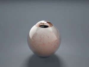 eyeball - brown 3D Model