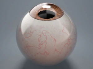 eyeball - brown 3D Model