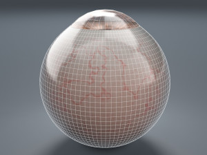 eyeball - brown 3D Модель