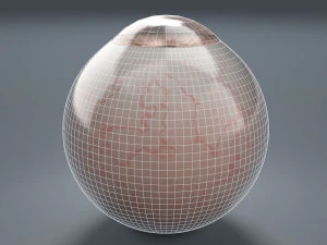 eyeball - brown 3D Model