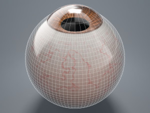 eyeball - brown 3D Модель
