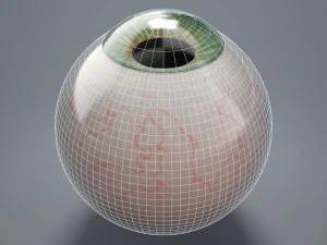 eyeball - green 3D Model