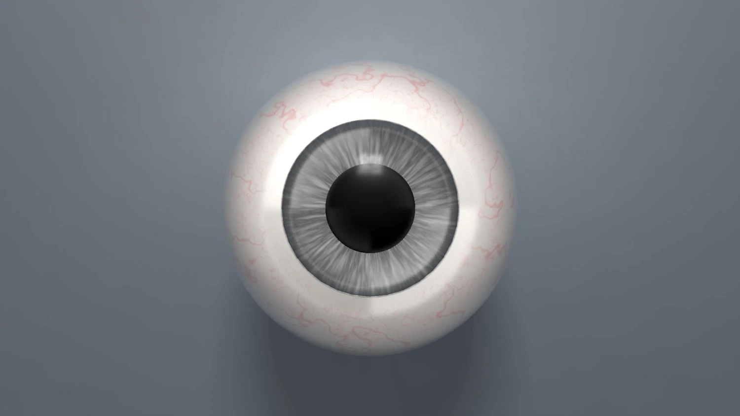 eyeball - grey 3D Model .c4d .max .obj .3ds .fbx .stl .blend