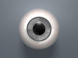 eyeball - grey 3D Model
