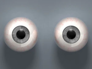 eyeball - grey 3D Model