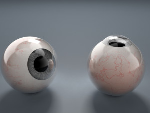 eyeball - grey Modello 3D
