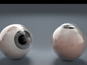 eyeball - grey Modello 3D